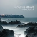 야뜨리여행사