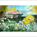 금수강산 - 영등포구 영등포로 147 | 금수강산