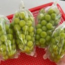 삼락택지길 이미지