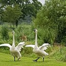 한진 목장 이미지