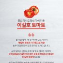 토마토마켓 이미지