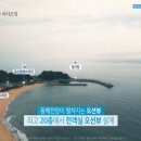 제이디클럽