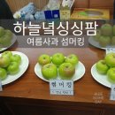 하늘녘싱싱팜 이미지