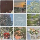 동진문구, 슈퍼 | 25년 4월의 기록 [🌿April Dump🌿]