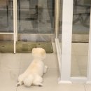 살롱드뚜뚜 이미지