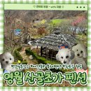영월집 | 영월 산골 초가 펜션:) 강아지들과 함께하는 힐링 촌캉스 큰 채 후기 ఇ Day. 1