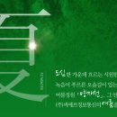 (주)씨에프 이미지