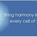 테라피 요가 이미지