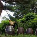 칠봉산민박 이미지