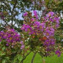 송석리마을회관 이미지