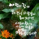 오소 이미지