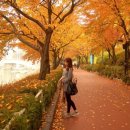 블랑도도 이미지