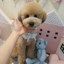 문정미용타운 이미지