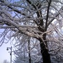 와뜨래요 이미지