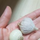 1쪽 마늘. 신기하네요 ㅋ 이미지