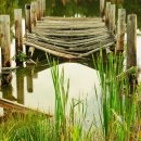 캐슈넛의 효능과 부작용: 하루 섭취량과 칼로리 이미지