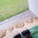 드래곤민박 이미지