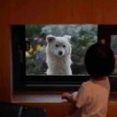 오씨주택 이미지