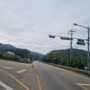 군장목장 Daum카페