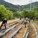 승평농장 이미지