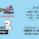 구피애견 이미지