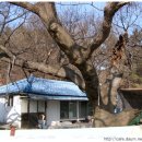 빼올약수터 이미지