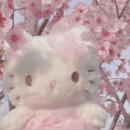 갈산목장 | 20대 마지막 봄