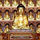 월정사 소장 불상-이조여래좌상 이미지