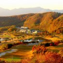 여주-0474 Daum카페