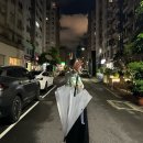 그린월드 | 대만여행 타이베이 숙소 그린월드호텔 후기