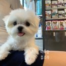 순천만동물병원 이미지