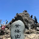 [100대명산]11/100 경상남도 합천군 황매산 / 주차 최단코스 철쭉단지 황매산철쭉축제 철쭉개화현황