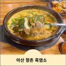 아산흑염소 맛집 향촌흑염소 후기
