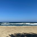 댕겨와유 이미지