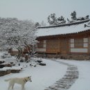 고향 - 서구 | 고향