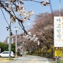 구례의길(섬진강길) 이미지