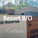 챠밍애견 이미지