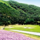 신원골프 이미지