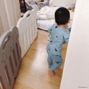 카포포 | 아동내복 카포포 예쁜데 면도 좋아