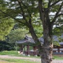 전북 완주 송광사 템플스테이 체험형 후기 | 예약 준비물 주차