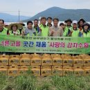 병식농장 네이버블로그