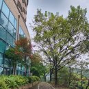 청풍레이크관광호텔 이미지