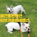 이브겨울이네펜션 이미지