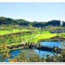 일라이트 호텔 이미지