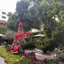 카페Macha | 방콕의 성수동 아리 카페거리 나나커피로스터즈(Nana Coffee Rosters Ari) 주말 후기