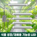 에이온 이미지