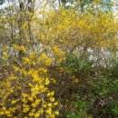 원고잔공원1 이미지