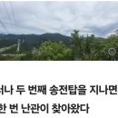 화봉 Daum카페