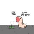 레네의작업실 | [책리뷰] 나르치스와 골드문트