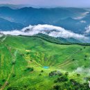 “가을 억새만 유명한 줄 알았죠?”… 여름에만 드러나는 정상의 비밀 연못 이미지